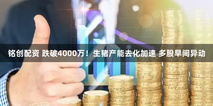铭创配资 跌破4000万！生猪产能去化加速 多股早间异动